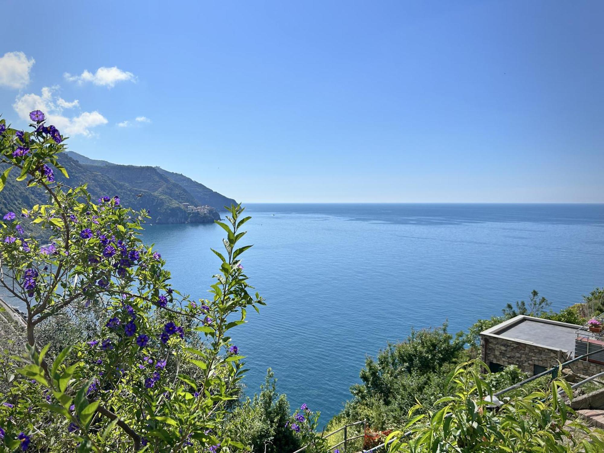 Pietra Azzurra, Newly Renovated Leilighet Corniglia Eksteriør bilde